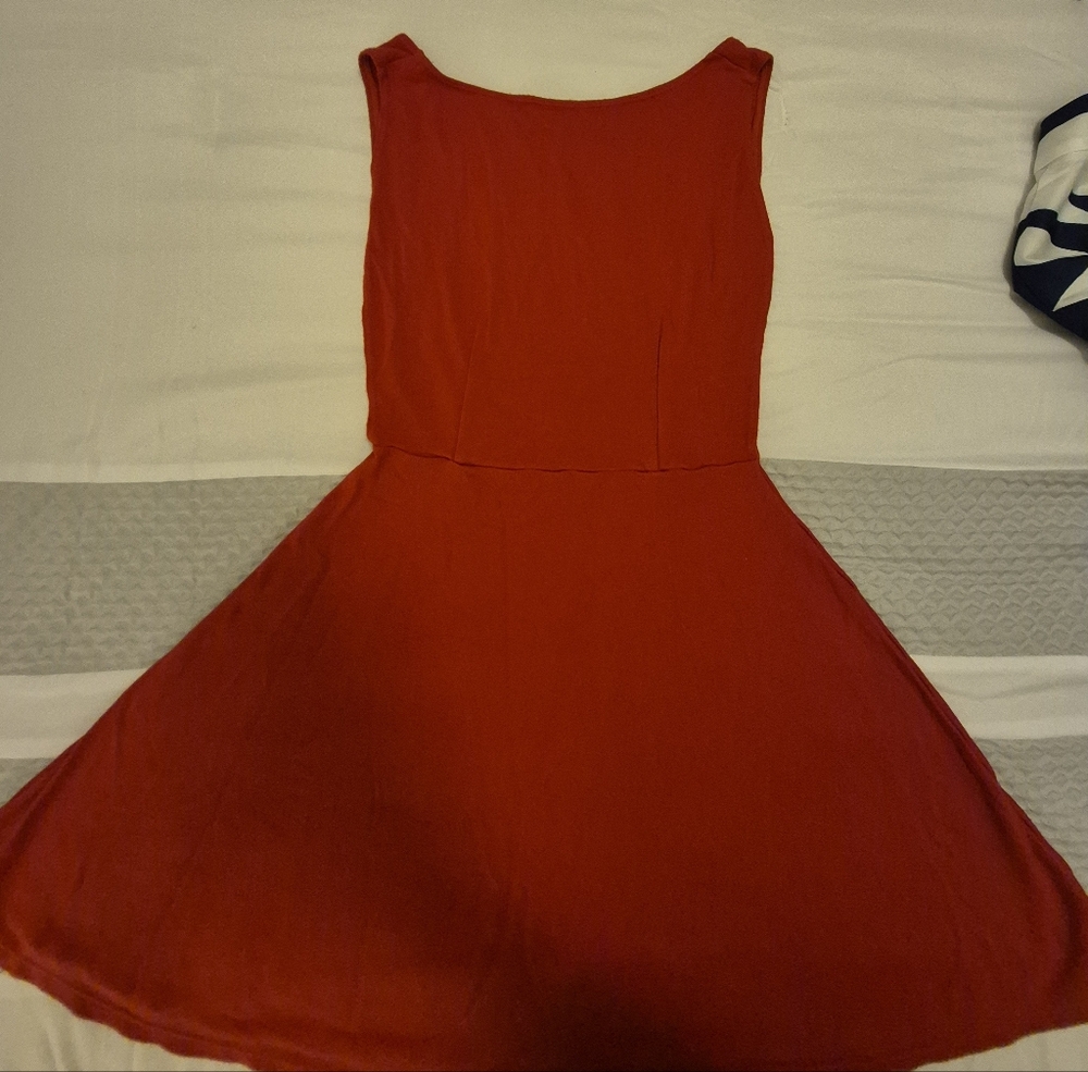 American Apparel Red Skater Dress